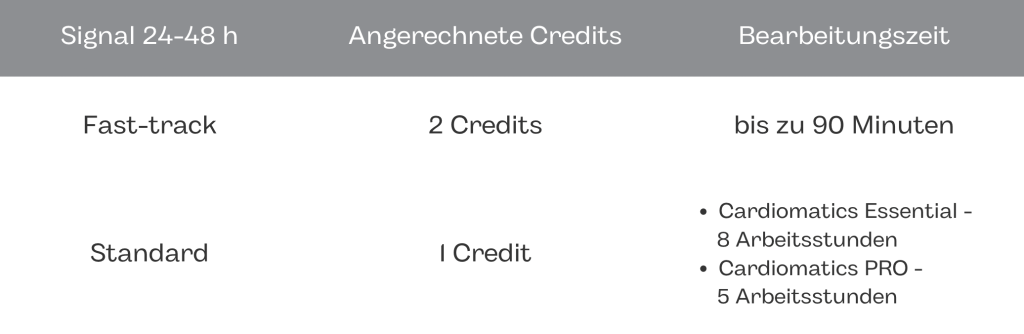 Holter-EKG-Bericht in 90 Minuten